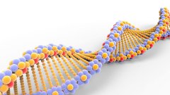 <b>亲子鉴定的“隐形陷阱”：采样、运输与</b>