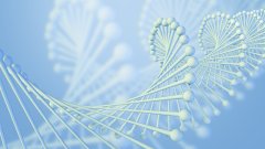 <b>亲子鉴定中的隐私保护——你的DNA数据安</b>