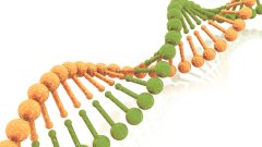 <b>悄悄整理!福州个人亲子鉴定10家流程汇总</b>