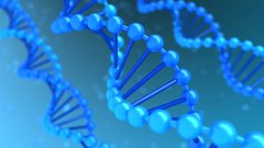 <b>亲子鉴定的“升级版”——全基因组测序</b>