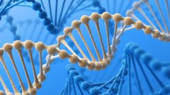 福州12家能做亲子鉴定的机构地址(附2026年亲子