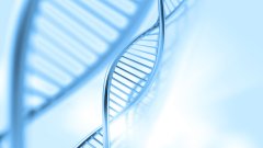 <b>亲子鉴定与心理调适——如何面对可能的</b>