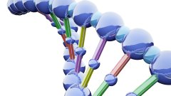 福州中检国权基因亲子鉴定大全(附2026鉴定地址