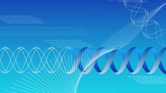 <b>福州10个私下亲子鉴定超全机构名单(含</b>