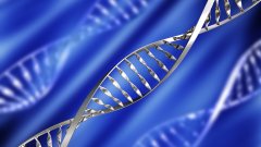 <b>亲子鉴定与伦理委员会——当科学面临道</b>