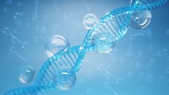 <b>亲子鉴定的“快问快答”——你最关心的</b>