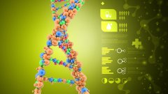 <b>亲子鉴定报告丢了怎么办？</b>