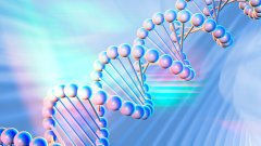 <b>亲子鉴定中的“基因座”是什么？——一</b>