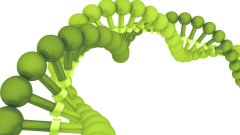 <b>亲子鉴定结果出来后，怎么跟孩子开口？</b>