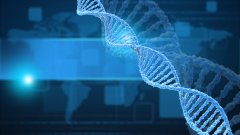 <b>老一辈不同意做亲子鉴定怎么办？</b>