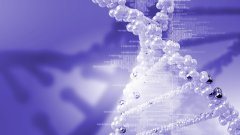 <b>亲子鉴定的“有效期”是多久？多年前的</b>