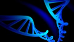 <b>如何挑选一家靠谱的亲子鉴定机构？——</b>