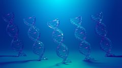 <b>亲子鉴定报告会泄露我的隐私吗？——数</b>