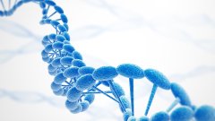 <b>亲子鉴定中的“陷阱”——那些年我们见</b>