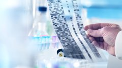 <b>亲子鉴定报告，谁有权查看？</b>