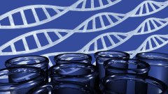 <b>亲子鉴定报告里的“基因图谱”</b>