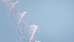 精查!福州市中检国权胎儿亲子鉴定超全名单