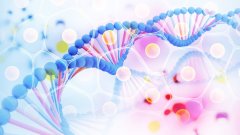 <b>亲子鉴定的科学原理：DNA如何成为血缘关</b>
