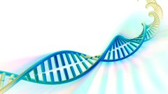 <b>未成年人做亲子鉴定有哪些保护规定?隐</b>