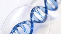 严选！福州能做亲子鉴定的机构（附2026年机构更